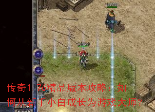 ����1.76��Ʒ�汾���ԣ���δ�����С�׳ɳ�Ϊ��Ϸ��ʦ��