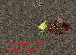 ��ε������²��ɹ�ն��Ѫ�ƺţ�