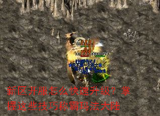 ����������ô����������������Щ���ɳư��귨��½