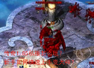 ����1.85˽����ô�棿������ο������ֱ����