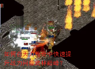 ������쵶�����п�������ս���ʶ������۷壿