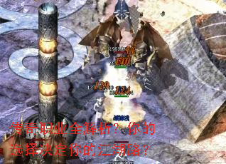 ����ְҵȫ���������ѡ�������Ľ���·��