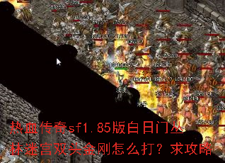 ��Ѫ����sf1.85������Ŵ����Թ�˫ͷ�����ô������