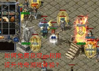 �����ѻ�ȡgmȨ������������Ϸ���飿