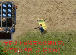 传奇道士召唤宠物技能详解:如何高效运用与升级宠物? 传奇道士召唤宠物技能详解:如何高效运用与升级宠物?