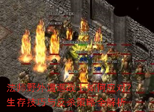 ��ʦҰ������սʿ���Ӧ�ԣ����漼���뷴ɱ����ȫ����