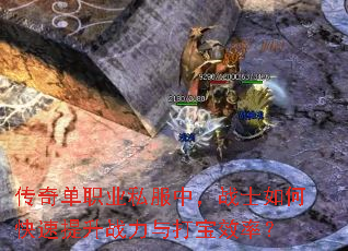 ���浥ְҵ˽���У�սʿ��ο�������ս�����Ч�ʣ�