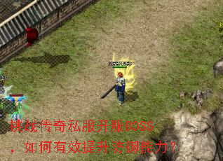 ��ս����˽������BOSS�������Ч��������������