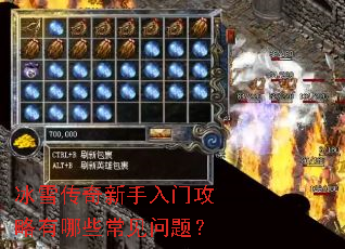 ��ѩ�����������Ź�������Щ�������⣿