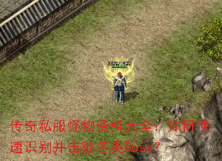 ����˽���������ϴ�ȫ����ο���ʶ�𲢻��ܸ���Boss��