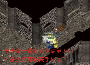 传奇道士道术多少点算入门?多少点可称高手档次? 传奇道士道术多少点算入门?多少点可称高手档次?