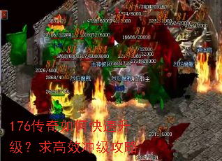 176������ο������������Ч�弶����