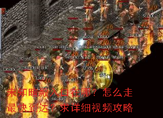 δ֪����������ģ���ô����쵽�����ϸ��Ƶ����