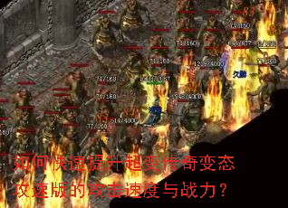��ο����������䴫���̬���ٰ�Ĺ����ٶ���ս����