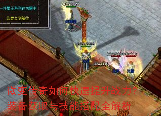 ΢�䴫����ο�������ս����װ����ȡ�뼼�ܴ���ȫ����