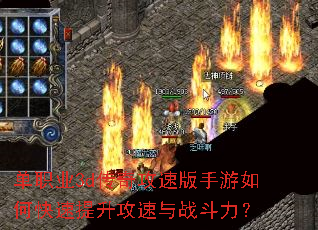 ��ְҵ3d���湥�ٰ�������ο�������������ս������