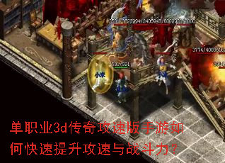 ��ְҵ3d���湥�ٰ�������ο�������������ս������