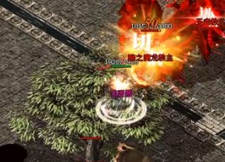 明星王组合哪些玩家更适合进入混乱的深渊