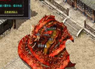 我们应该在新手村做些什么