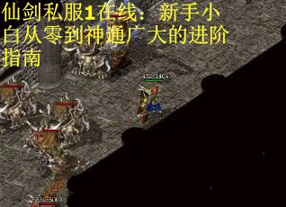 仙剑私服1在线：新手小白从零到神通广大的进阶指南