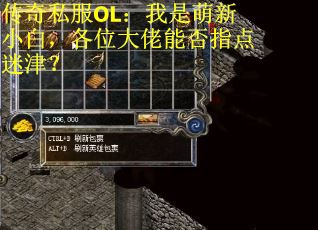 传奇私服OL：我是萌新小白，各位大佬能否指点迷津？