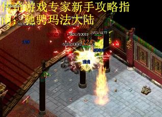 传奇游戏专家新手攻略指南：驰骋玛法大陆