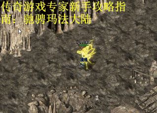传奇游戏专家新手攻略指南：驰骋玛法大陆