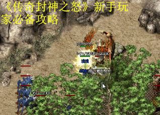 《传奇封神之怒》新手玩家必备攻略