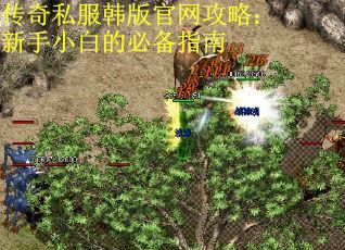 传奇私服韩版官网攻略：新手小白的必备指南