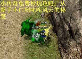 小传奇免费秒玩攻略：从新手小白到叱咤风云的秘笈