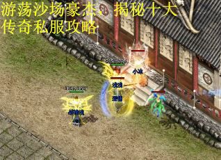 游荡沙场豪杰，揭秘十大传奇私服攻略