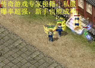 传奇游戏专家秘籍：私服爆率超强，新手也能成神
