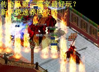 传奇私服：哪家最好玩？新手快速养成攻略