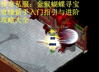 传奇私服：金猴蝴蝶寻宝奇缘新手入门指引与进阶攻略大全