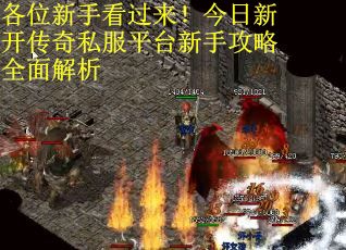 各位新手看过来！今日新开传奇私服平台新手攻略全面解析