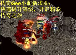 传奇Gee小萌新求助：快速提升等级，开启精彩传奇之旅
