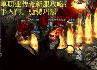 单职业传奇新服攻略：新手入门，驰骋玛法