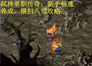 弑神单职传奇：新手极速养成，横扫八荒攻略