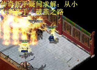 传奇新手疑问求解：从小白到高手，破茧之路