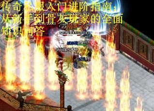 传奇私服入门进阶指南：从新手到骨灰玩家的全面知识问答