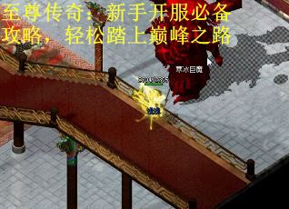 至尊传奇：新手开服必备攻略，轻松踏上巅峰之路