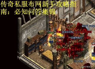 传奇私服布网新手攻略指南：必知问答集锦