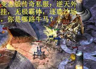 变态版传奇私服：逆天外挂，无极霸体，逐鹿沙场，你是哪路牛马？