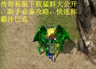 传奇私服下载猛料大公开：新手必备攻略，快速称霸沙巴克
