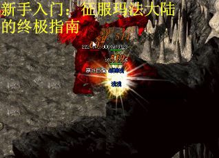 新手入门：征服玛法大陆的终极指南