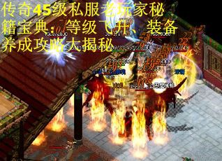 传奇45级私服老玩家秘籍宝典：等级飞升、装备养成攻略大揭秘