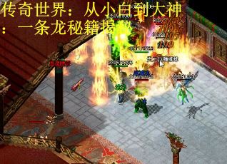 传奇世界：从小白到大神：一条龙秘籍揭秘