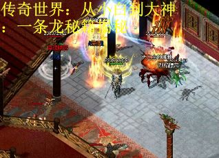 传奇世界：从小白到大神：一条龙秘籍揭秘