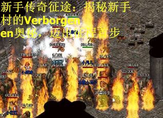 新手传奇征途：揭秘新手村的Verborgenen奥秘，迈出征程首步