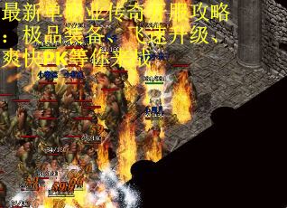 最新单职业传奇开服攻略：极品装备、飞速升级、爽快PK等你来战